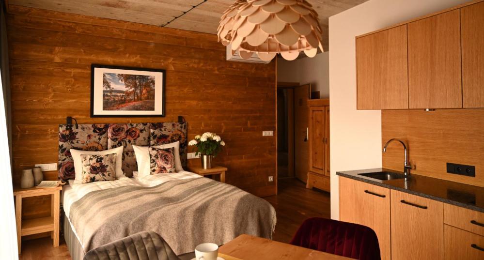 Apartamenty U Harrego Boutique Spa Z Klimatyzacja, Balkon, Sauna, Teznia Parking Kudowa-Zdrój Exteriér fotografie